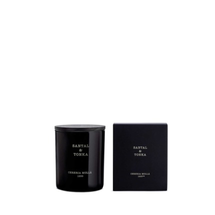 Lapa-Interior-Design_Ceraria-Molla_Santanl-Tonka-230gr_3tratado2.